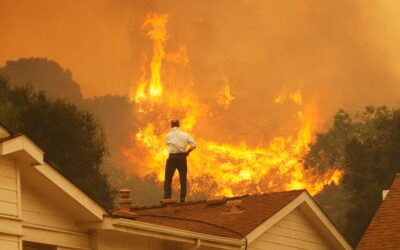 Forbes: The Climate Crisis Is A Miracle