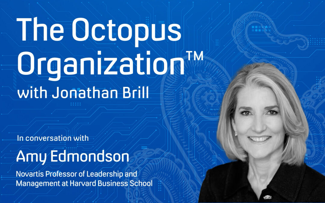 The Octopus Organization™ with Jonathan Brill: Amy Edmondson